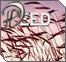 The Deed: Shabbat Observance