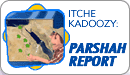Baby Basket Gridlock on the Nile