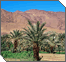 An Oasis of Refuge